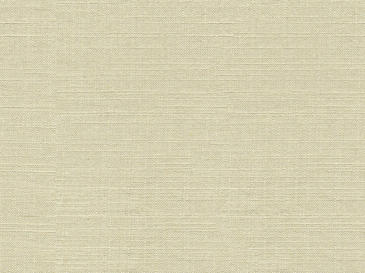 Kravet Smart 33401-1111 by Kravet Smart Fabric