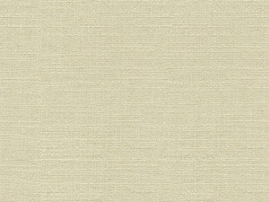 Kravet Smart 33401-1111 by Kravet Smart Fabric