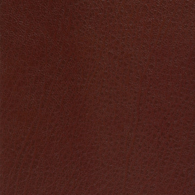 Kravet Basics Celine-9 by Kravet Basics Fabric