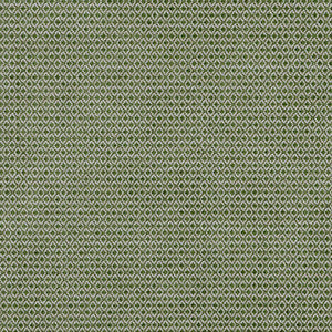 Cosgrove Moss by Lee Jofa Fabric