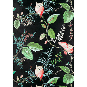 Owlish Black by Kravet Design Wallcovering