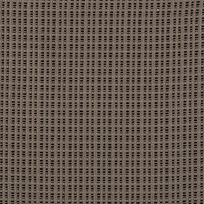 Out Lino/Negro by Gaston Y Daniela Fabric