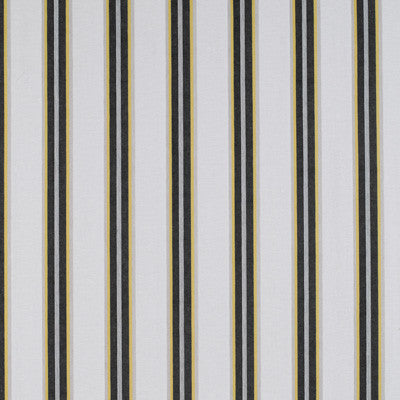 Tavolara Onyx/Amarillo by Gaston Y Daniela Fabric