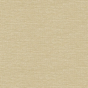 Kravet Contract 34961-1116 by Kravet Contract Fabric