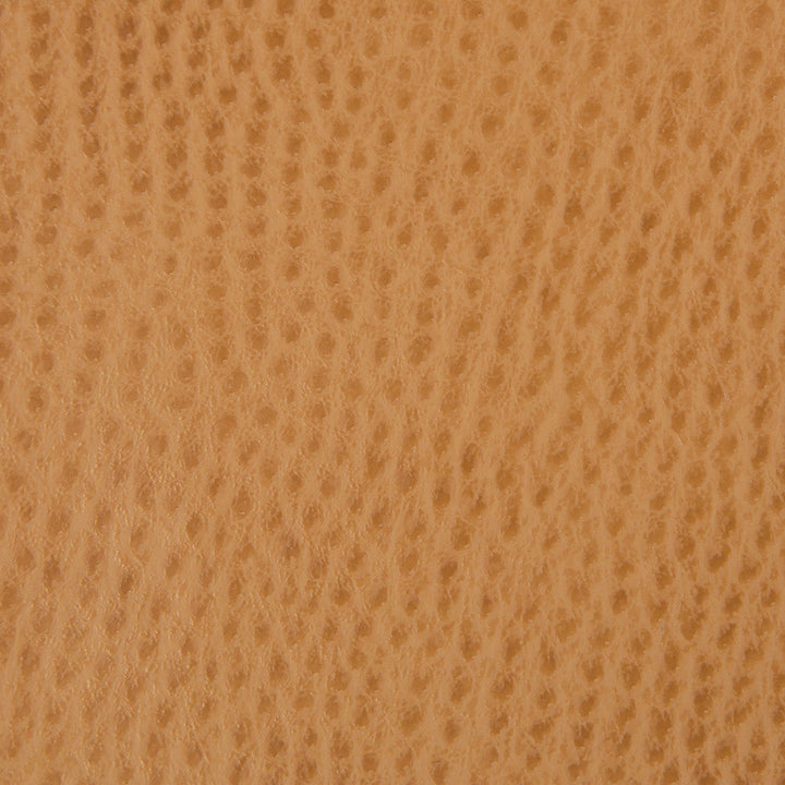 Kravet Smart Ossy-4 by Kravet Smart Fabric