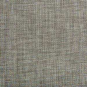 4458-11 by Kravet Fabric
