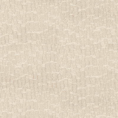 Kravet Basics 34412-101 by Kravet Basics Fabric