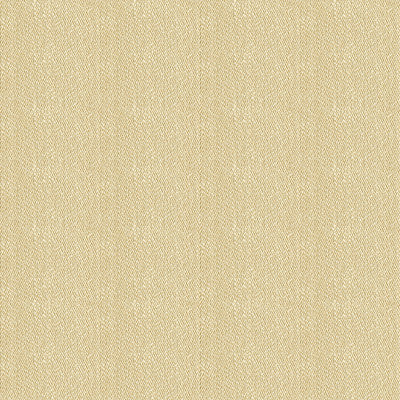 Kravet Contract 33877-1116 by Kravet Contract Fabric