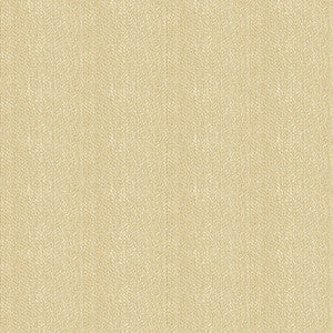 Kravet Contract 33877-1116 by Kravet Contract Fabric