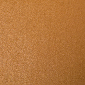 Kravet Smart Newt-4 by Kravet Smart Fabric