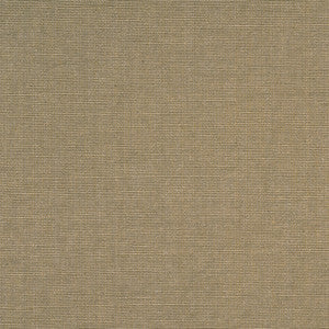 Adagio Plain Camel by Baker Lifestyle Fabric