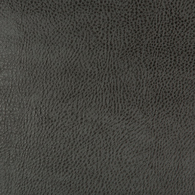 Kravet Design Beholder-21 by Kravet Design Fabric