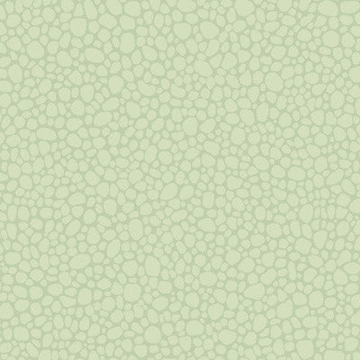 Pebble Duck Egg by Cole & Son Wallcovering