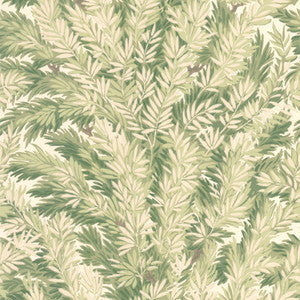 Florencecourt Olive by Cole & Son Wallcovering