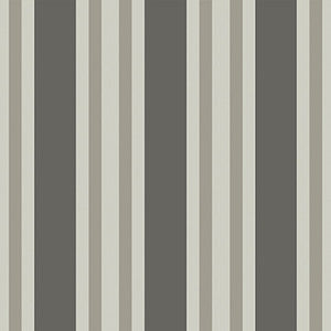 Polo Stripe Black/White by Cole & Son Wallcovering