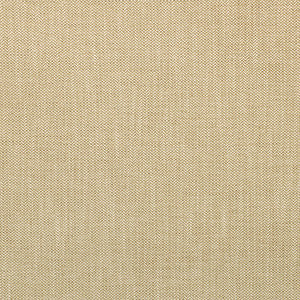 Kravet Smart 35514-16 by Kravet Smart Fabric
