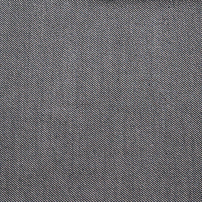 Victoria Acero/Blanco by Gaston Y Daniela Fabric