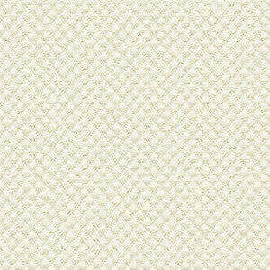 Kravet Design 25807-1 by Kravet Design Fabric