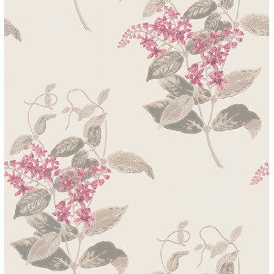 Madras Violet Pink by Cole & Son Wallcovering
