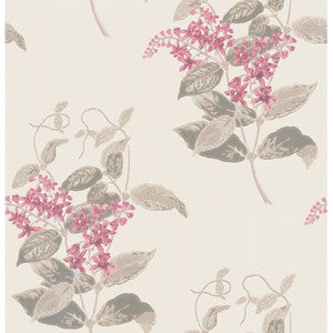 Madras Violet Pink by Cole & Son Wallcovering