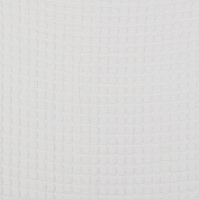 Morera Blanco by Gaston Y Daniela Fabric