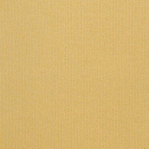 Donald Amarillo by Gaston Y Daniela Fabric
