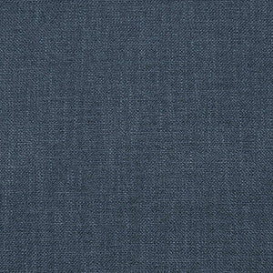 Shaba Gris Plomo by Gaston Y Daniela Fabric