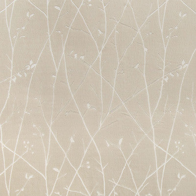 Ramus Quartz by Kravet Couture Fabric
