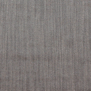 Victoria Beige/Black by Gaston Y Daniela Fabric
