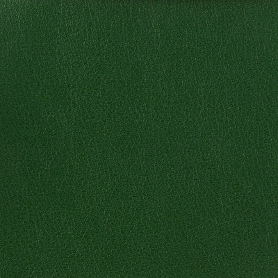 Kravet Basics Otto-3 by Kravet Basics Fabric
