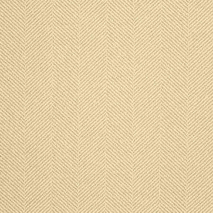 Kravet Smart 33405-1116 by Kravet Smart Fabric