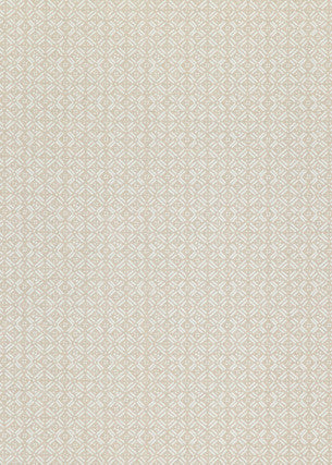 Aslin Ivory by Threads Fabric