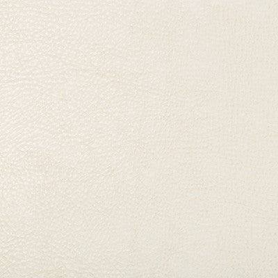 Kravet Design Beholder-1 by Kravet Design Fabric