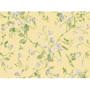 Sweet Pea Yellow by Cole & Son Wallcovering