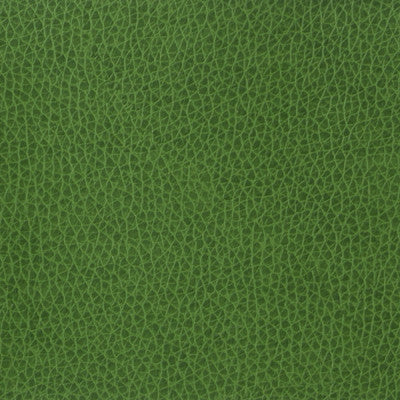 Kravet Basics Matter-3 by Kravet Basics Fabric