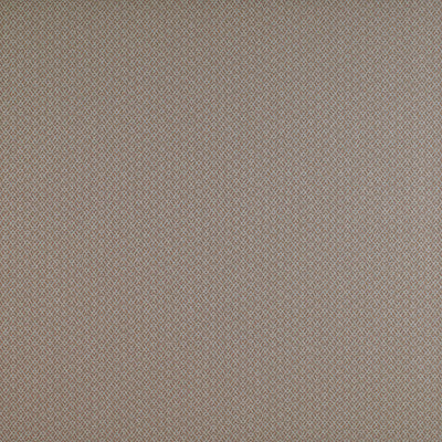 Chueca Beige by Gaston Y Daniela Fabric