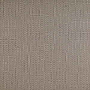 Chueca Beige by Gaston Y Daniela Fabric
