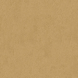Kravet Contract Belus-1616 by Kravet Contract Fabric