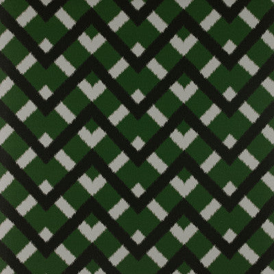 Monti Verde by Gaston Y Daniela Fabric