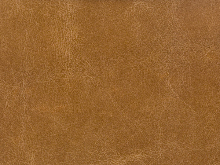 L-Haute-Camel by Kravet Fabric
