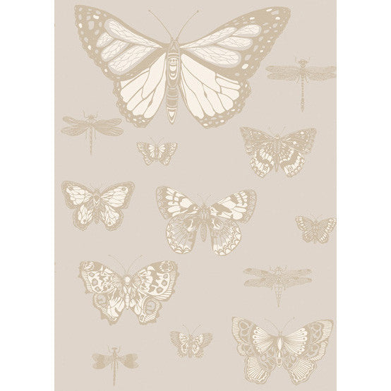 Butterflies & Dragonflies Grey by Cole & Son Wallcovering