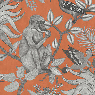 Savuti Orange by Cole & Son Wallcovering
