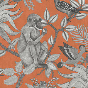 Savuti Orange by Cole & Son Wallcovering