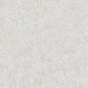 Cordovan Grey by Cole & Son Wallcovering