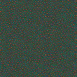Senzo Spot Petrol by Cole & Son Wallcovering