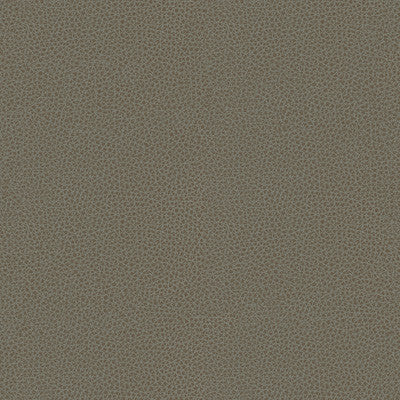 Kravet Contract Bess-11 by Kravet Contract Fabric