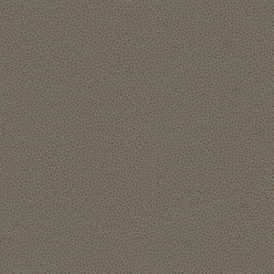 Kravet Contract Bess-11 by Kravet Contract Fabric