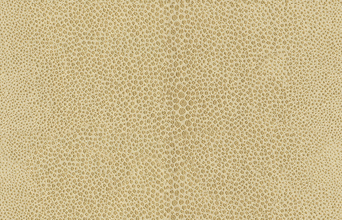 Kravet Design 32596-16 by Kravet Design Fabric