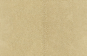 Kravet Design 32596-16 by Kravet Design Fabric