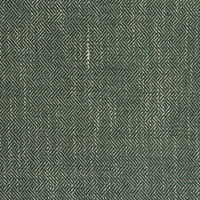 Enea Verde by Gaston Y Daniela Fabric